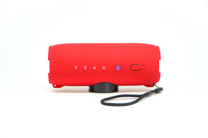 DryTunes Portable Waterproof & Floating Bluetooth Speaker